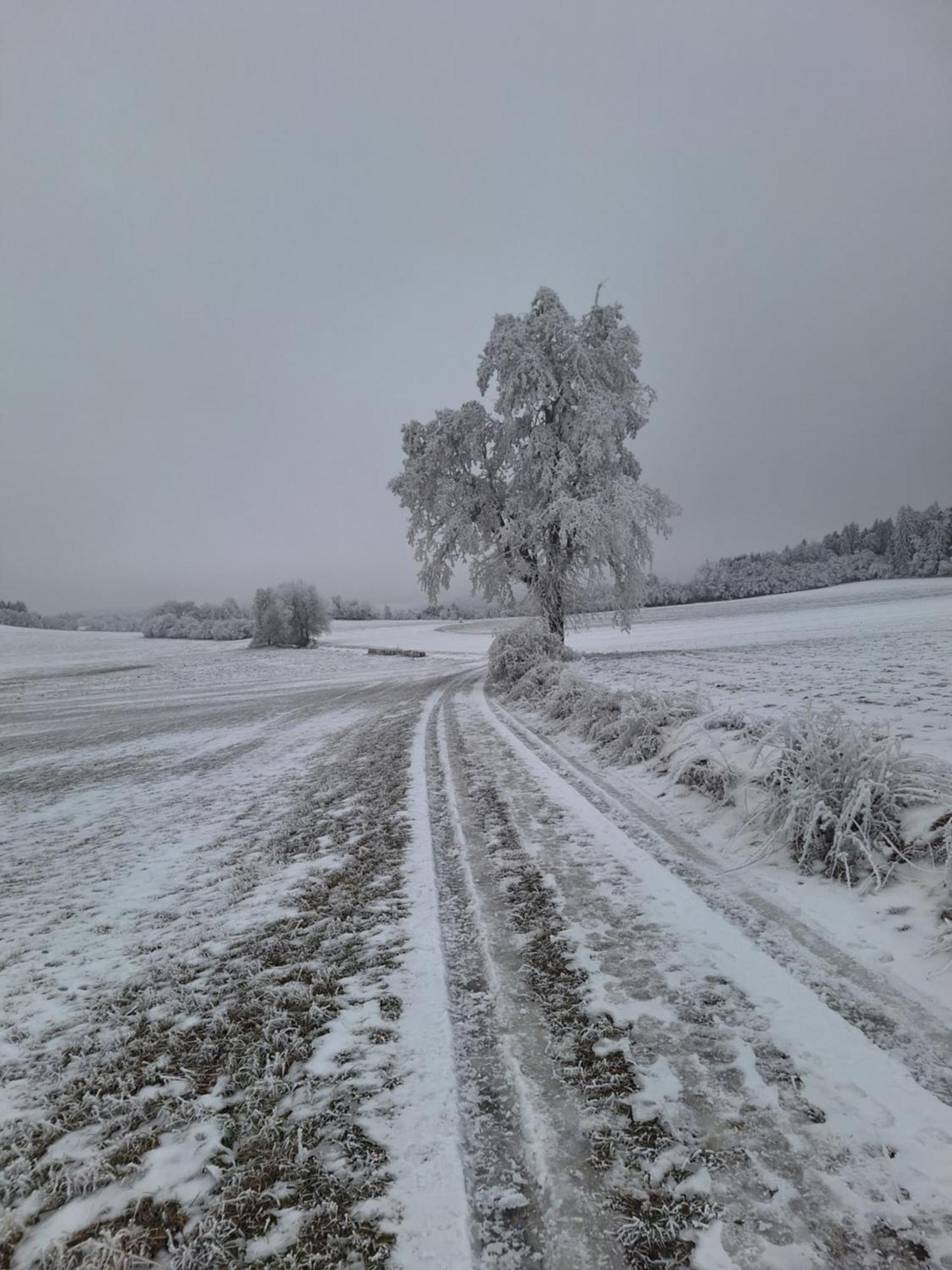 Ubytovani U Krivanku 1 Telc Luaran gambar