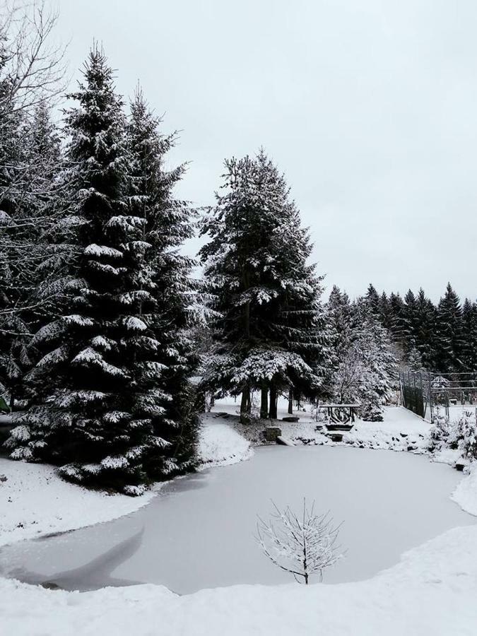Ubytovani U Krivanku 1 Telc Luaran gambar